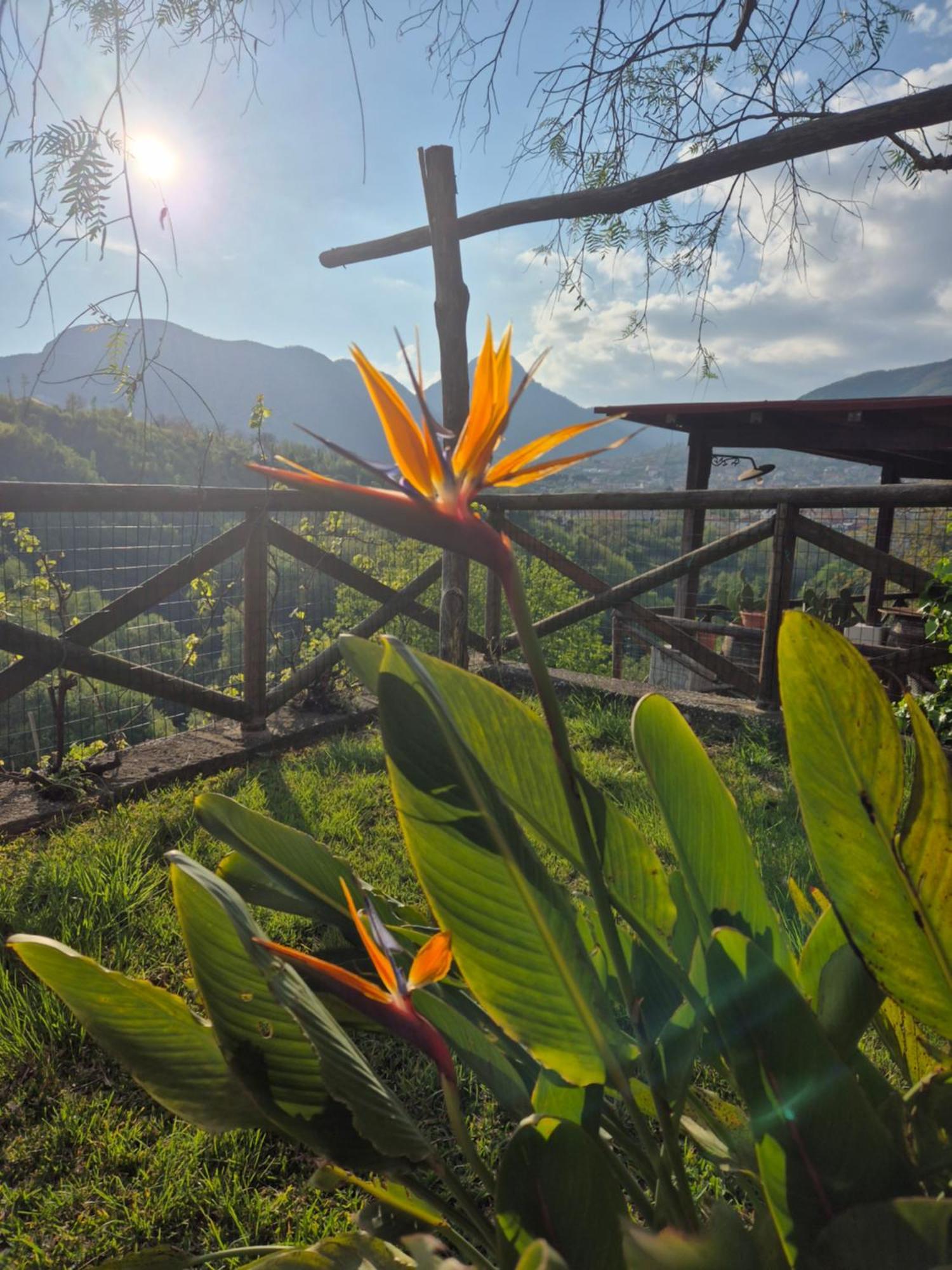 La Cicogna Bed & Breakfast Agerola Exterior photo